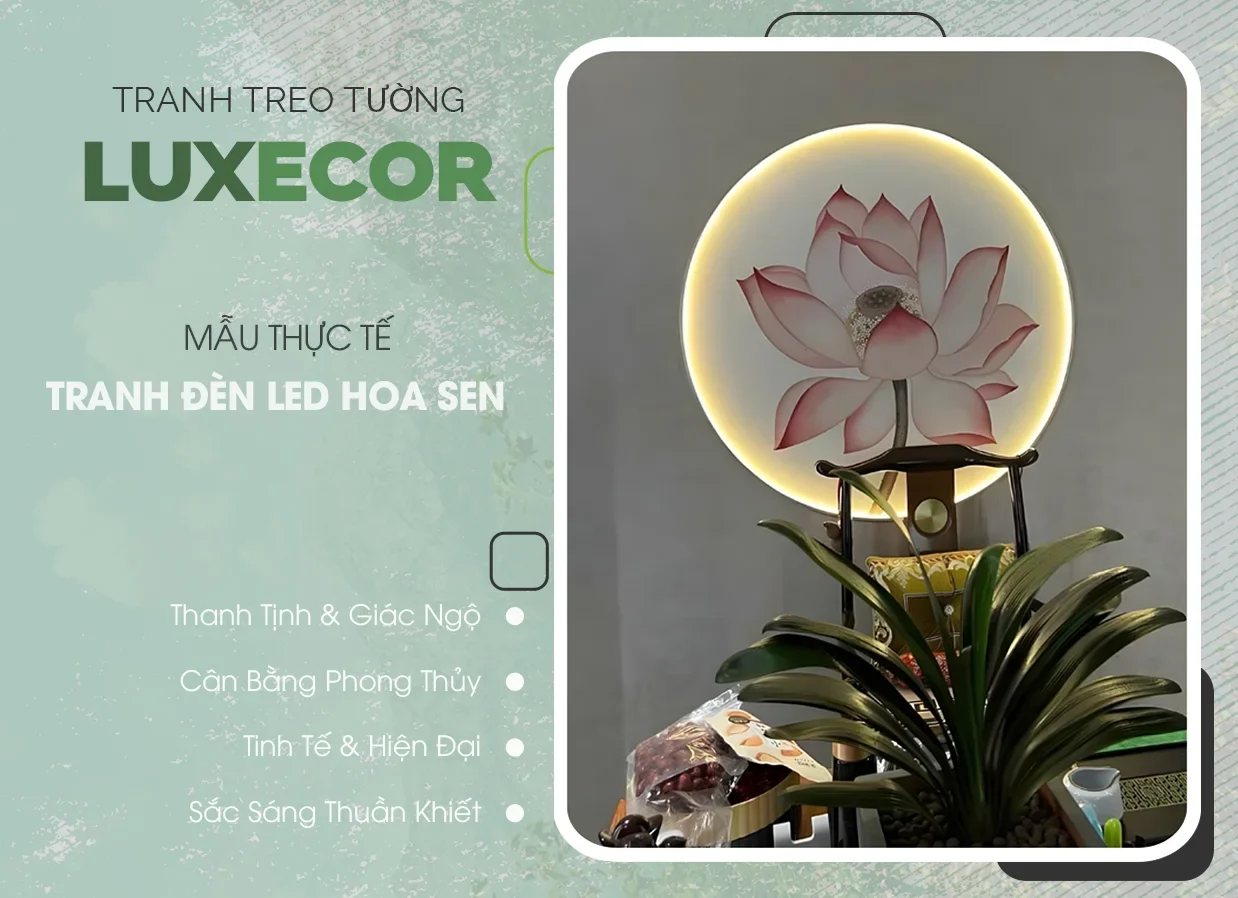Tranh LED hoa sen Luxecor với vòng sáng tròn dịu